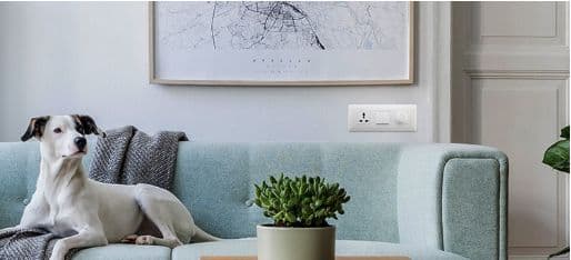 Everything You Need to Know About Venia Switches